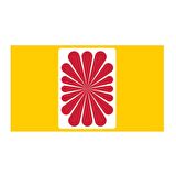 Bicycle Damn Good Cards No 3 Oyun Kağıdı USPCC Koleksiyonluk Cardistry iskambil Kartları Destesi