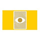 Bicycle Damn Good Cards No 6 Oyun Kağıdı USPCC Koleksiyonluk Cardistry iskambil Kartları Destesi