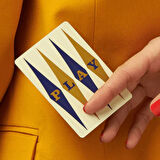 Bicycle Damn Good Cards No 7 Oyun Kağıdı USPCC Koleksiyonluk iskambil Kartları