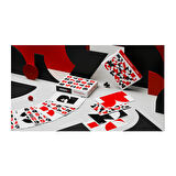 Bicycle Just Type v1 Premium Oyun Kağıdı Cardistry iskambil Kartları Destesi