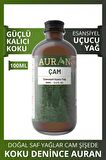 Çam Esansiyel Uçucu Koku Yağı Buhurdanlık Yağı Difüzör Esansı Hobi Esans Ortam Oda Kokusu 100ml