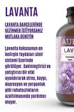 Lavanta Esansiyel Uçucu Koku Yağı Buhurdanlık Yağı Difüzör Esansı Hobi Esans Ortam Oda Kokusu 100ml