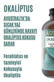 Okaliptüs Esansiyel Uçucu Koku Yağı Buhurdanlık Yağı Difüzör Esansı Hobi Esans Ortam Oda 100ml