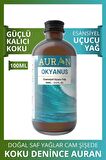 Okyanus Esansiyel Uçucu Koku Yağı Buhurdanlık Yağı Difüzör Esansı Hobi Esans Ortam Oda Kokusu 100ml