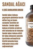 Sandal Ağacı Esansiyel Uçucu Koku Yağı Buhurdanlık Yağı Difüzör Esansı Hobi Esans Ortam Oda 100ml