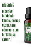 Biberiye Esansiyel Uçucu Koku Yağı Buhurdanlık Yağı Difüzör Esansı Hobi Esans Ortam Oda 100ml