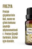 Frezya Esansiyel Uçucu Koku Yağı Buhurdanlık Yağı Hava Nemlendirici Esansı Aromaterapi Esans 100ml