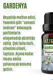 Gardenya Esansiyel Uçucu Koku Yağı Buhurdanlık Yağı Difüzör Esansı Hobi Esans Ortam Oda 100ml