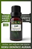 Çam Esansiyel Uçucu Koku Yağı Buhurdanlık Yağı Difüzör Esansı Hobi Esans Ortam Oda Kokusu 10ml