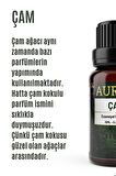 Çam Esansiyel Uçucu Koku Yağı Buhurdanlık Yağı Difüzör Esansı Hobi Esans Ortam Oda Kokusu 10ml