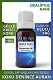 Nefes Açıcı Nane Ve Okaliptüs Esansiyel Uçucu Koku Yağı Buhurdanlık Yağı Difüzör Esansı Küre 10ml