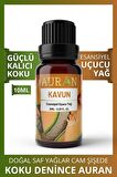 Kavun Saf Esansiyel Uçucu Yağ Buhurdanlık Yağı Difüzör Esansı Aromaterapi Ortam Koku Küre Yağı 10 ml