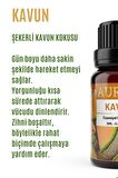 Kavun Saf Esansiyel Uçucu Yağ Buhurdanlık Yağı Difüzör Esansı Aromaterapi Ortam Koku Küre Yağı 10 ml