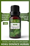 Nane Esansiyel Uçucu Koku Yağı Buhurdanlık Yağı Difüzör Esansı Hobi Esans Ortam Oda Kokusu 10ml