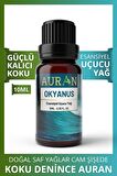 Okyanus Esansiyel Uçucu Koku Yağı Buhurdanlık Yağı Difüzör Esansı Hobi Esans Ortam Oda Kokusu 10ml
