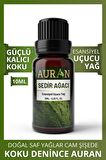 Sedir Ağacı Esansiyel Uçucu Koku Yağı Buhurdanlık Yağı Difüzör Esansı Hobi Esans Ortam Oda 10ml