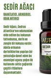 Sedir Ağacı Esansiyel Uçucu Koku Yağı Buhurdanlık Yağı Difüzör Esansı Hobi Esans Ortam Oda 10ml