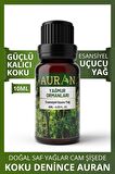 Yağmur Ormanları Esansiyel Uçucu Koku Yağı Buhurdanlık Yağı Esans Hava Nemlendirici Kokusu 10ml