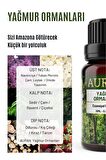 Yağmur Ormanları Esansiyel Uçucu Koku Yağı Buhurdanlık Yağı Esans Hava Nemlendirici Kokusu 10ml