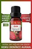 Çilek Saf Esansiyel Uçucu Yağ Buhurdanlık Yağı Difüzör Esansı Aromaterapi Ortam Koku 10ml