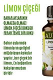 Limon Çiçeği Esansiyel Uçucu Koku Yağı Buhurdanlık Yağı Difüzör Esansı Hobi Esans Ortam Oda 30ml