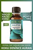 Okaliptüs Esansiyel Uçucu Koku Yağı Buhurdanlık Yağı Difüzör Esansı Hobi Esans Ortam Oda Kokusu 30ml