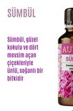 Sümbül Esansiyel Uçucu Koku Yağı Buhurdanlık Yağı Difüzör Esansı Hobi Esans Ortam Oda Kokusu 30ml