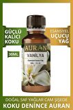 Vanilya Esansiyel Uçucu Koku Yağı Buhurdanlık Yağı Difüzör Esansı Hobi Esans Ortam Oda Kokusu 30ml