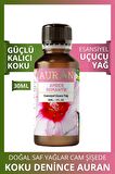 Amber Romantik Esansiyel Uçucu Koku Yağı Buhurdanlık Yağı Difüzör Esansı Hobi Esans Ortam Oda 30ml