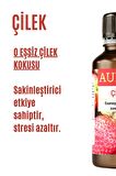 Çilek Esansiyel Uçucu Koku Yağı Buhurdanlık Yağı Difüzör Esansı Hobi Esans Ortam Oda Kokusu 30ml