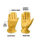 Campout Dana Derisi Eldiven XL