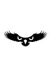 Kartalın Gözleri Sticker Oto Motor Laptop Duvar Folyo Sticker 10x4 cm