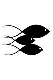 Balık Ailesi Oto Motor Laptop Duvar Folyo Sticker 10x6 Cm