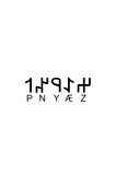 Göktürkçe ZEYNEP İsmi Yazı Sticker Yükseklik 5 Cm