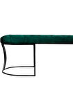 Viego Siyah Bench Puf,Metal