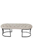 Viego Siyah Bench Puf,Metal