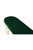 Viego Gold Exclusive Bench Lüks Metal Gold Ayak, Chester Model Yatak Ucu Yeşil Puf