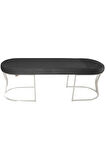 Viego Silver Smooth Bench Lüks Metal Gümüş Ayak, Chester Model Yatak Ucu Antrasit Puf
