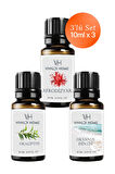 Afrodizyak, Okaliptus, Okyanus Esintisi Uçucu Yağ Buhurdanlık Yağı 10ml x 3'lü Set