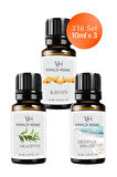 Kavun, Okaliptus, Okyanus Esintisi Uçucu Yağ Buhurdanlık Yağı 10ml x 3'lü Set