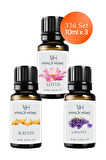 Lotus, Kavun, Lavanta Uçucu Yağ Buhurdanlık Yağı 10ml x 3'lü Set