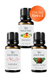 Mango, Sakura, Sandal Ağacı Uçucu Yağ Buhurdanlık Yağı 10ml x 3'lü Set