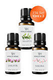 Okaliptus, Şakayık, Sakura Uçucu Yağ Buhurdanlık Yağı 10ml x 3'lü Set
