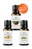 Sandal Ağacı, Mango, Okaliptus Uçucu Yağ Buhurdanlık Yağı 10ml x 3'lü Set