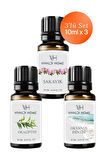 Şakayık, Okaliptus, Okyanus Esintisi Uçucu Yağ Buhurdanlık Yağı 10ml x 3'lü Set