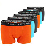 ALEXANDERGARDI 6'LI EKONOMİK PAKET ERKEK BOXER SETİ (VİNCENTCREATİON-02)