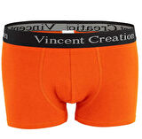 ALEXANDERGARDI 6'LI EKONOMİK PAKET ERKEK BOXER SETİ (VİNCENTCREATİON-02)