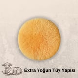 Virtues Eagle  Pasta Keçesi 160mm