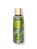 VICTORIA'S SECRET Tempting Pear Jasmine Vücut Spreyi 250 ML