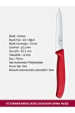 Victorinox SwissClassic 5'li Soyacak ve Bıçak Seti (Patates / 8-8-10-11 CM/ Düz-Düz-Düz-Tırtıklı)